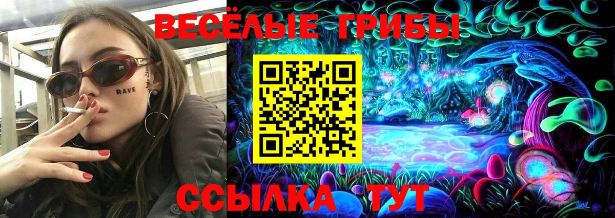 Псилоцибиновые грибы Psilocybe Павлово
